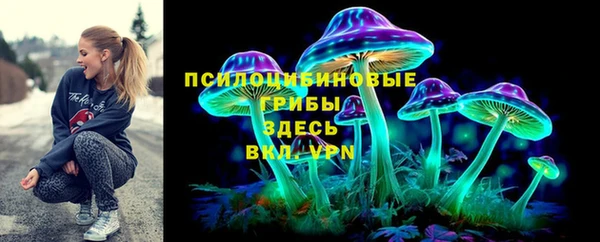 первитин Богородицк